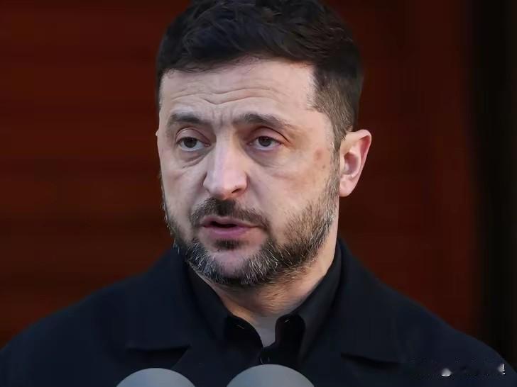 乌克兰总统泽连斯基最新表态：这个问题可以考虑！乌克兰总统泽连斯基12月24日