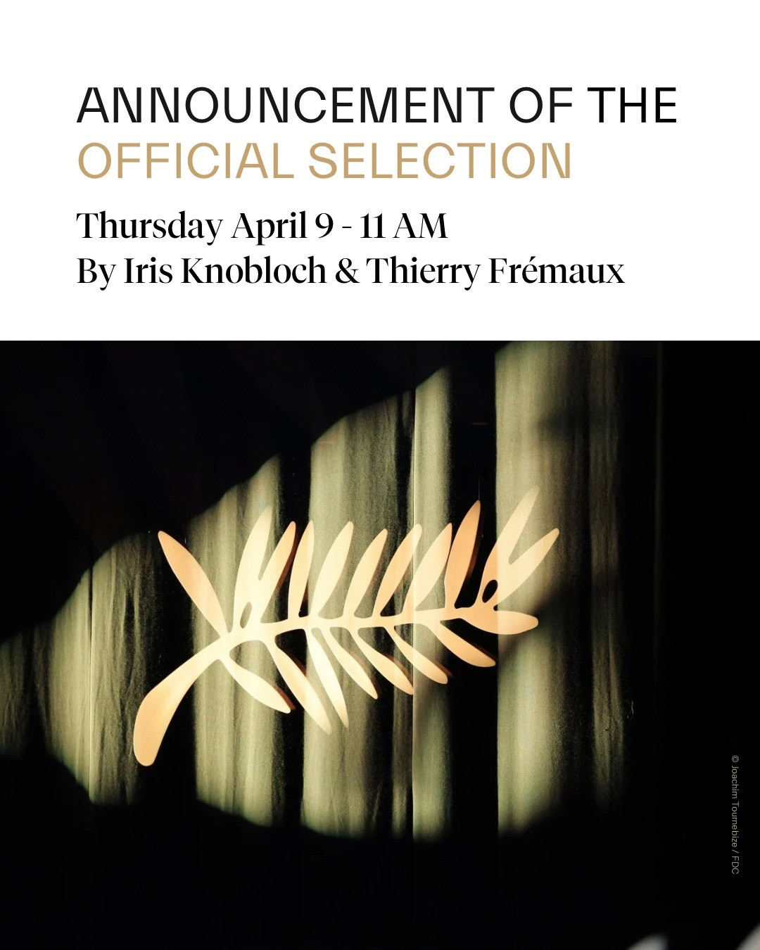 第79届戛纳电影节新闻发布会将于5天后，法国时间4月9日上午11时（北京时间下午