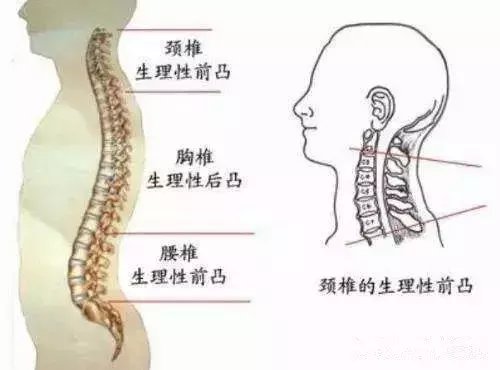 新生儿需要用枕头吗? 怎么选枕头、怎么用枕头?