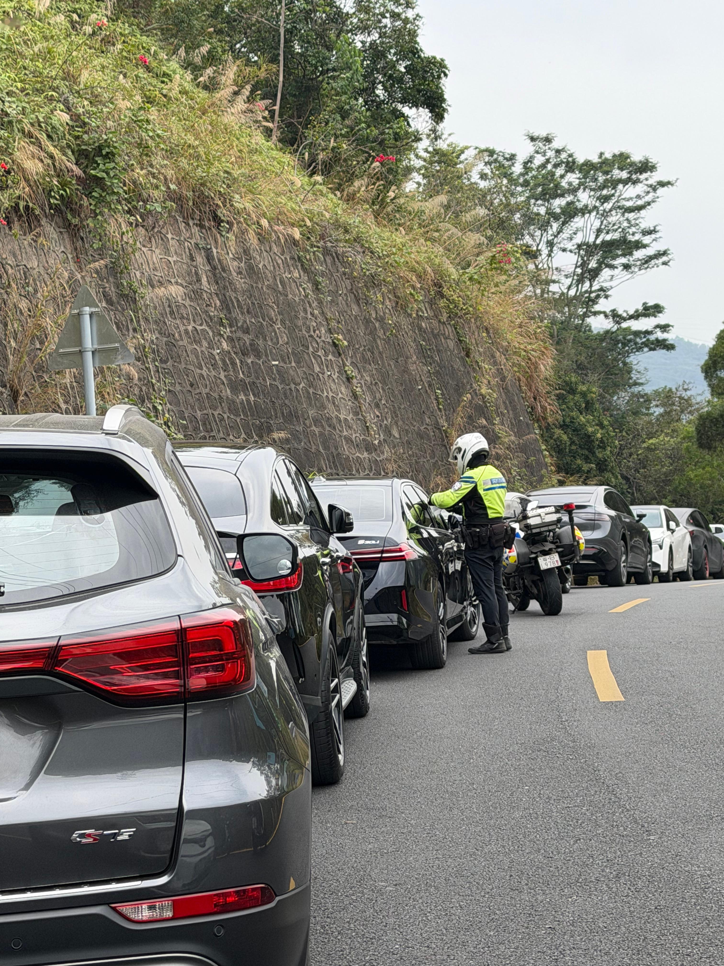 交警贴了一路，大家违停还是不要凑热闹，看到别人停你也停深圳·深圳仙湖植物园
