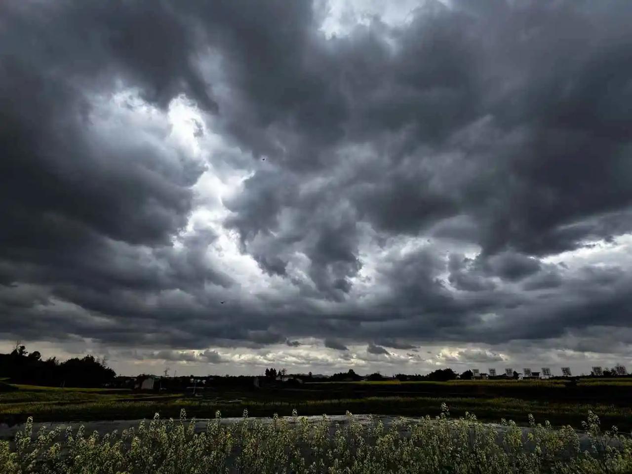 人民日报点名“反催收”：你以为的救命稻草，其实是另一个深坑。最近，人民日报一