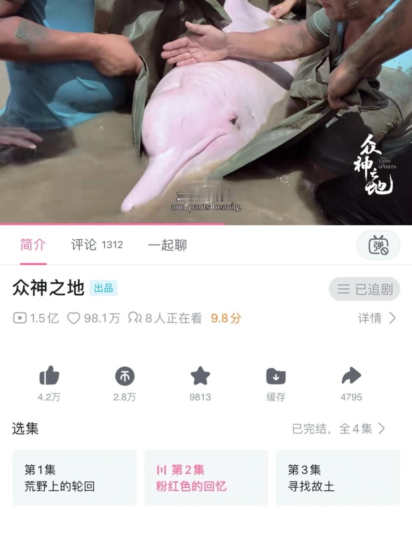 啊啊啊😭真的能学到东西❗️不允许还有人没看过这些宝藏纪录片
