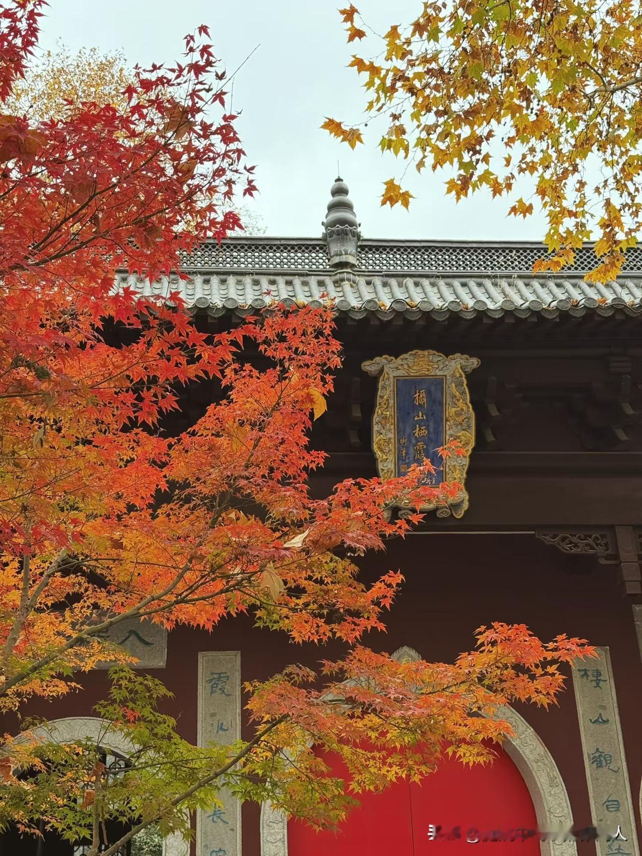 有没有自己交社保的姐妹跟我一样，天天盼着退休年龄能改一改！全国大部分省份的灵