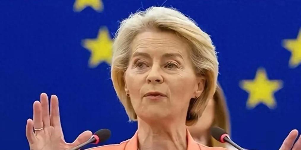 前一天欧盟还在高调宣布拉黑16家中国等地企业，扬言要给咱们点颜色看看，谁能想到，