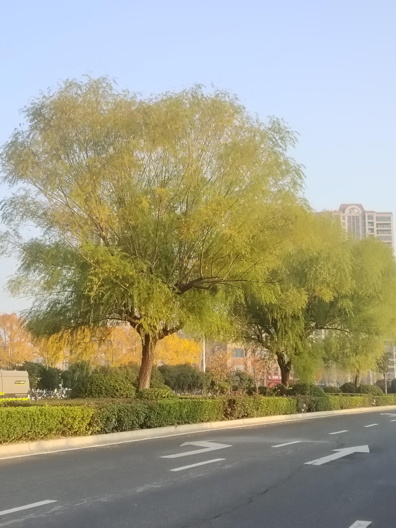 昨天发工资了，6000多元，真的不够花。今天下班我跟老公说，现在工资没有70