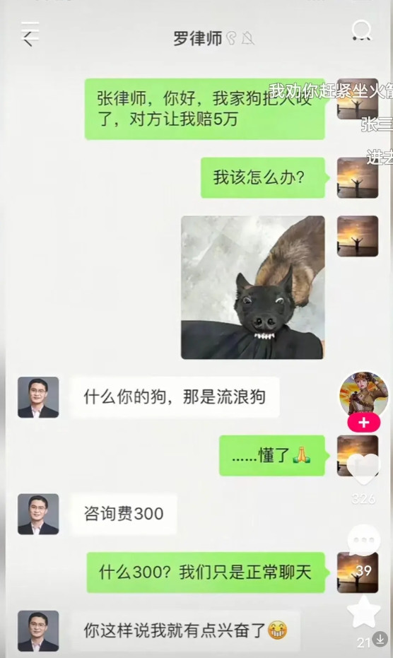 正常聊天，张律师老兴奋了
