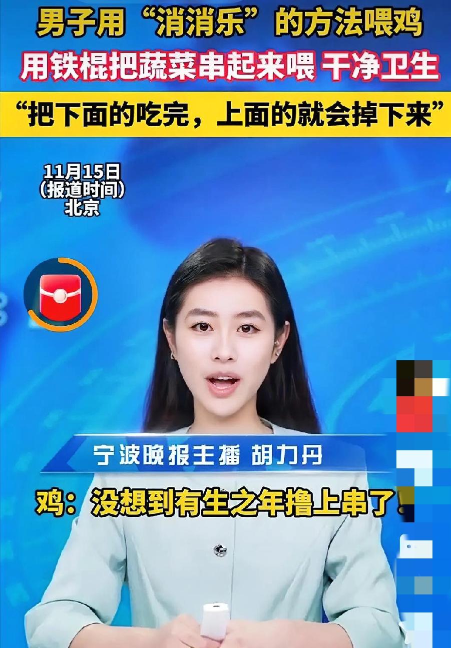 2025年11月15日，北京一位大哥的养鸡神操作在网上爆火。他养的1500多只土