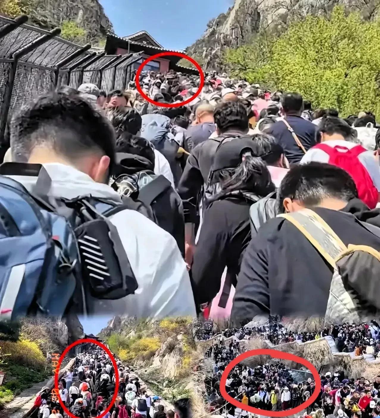一觉醒来，旅游和没旅游的都沉默了！五一假期，热门景区人潮汹涌，凌晨四点山路就被