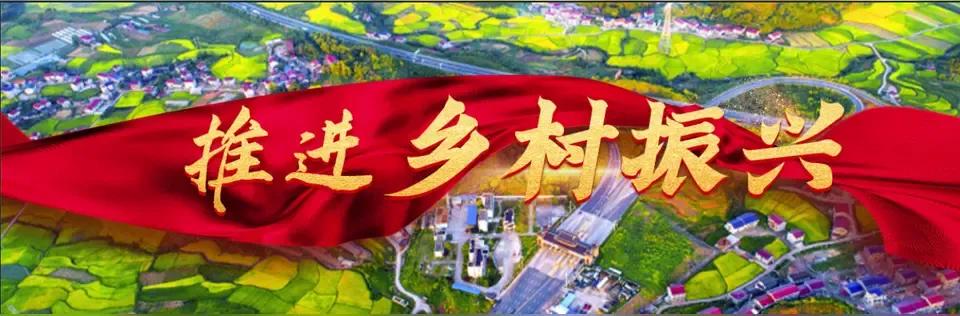 我国为扶贫攻坚所投入的资金，按脱贫攻坚期和脱贫后的衔接期来看，整体数据如下：