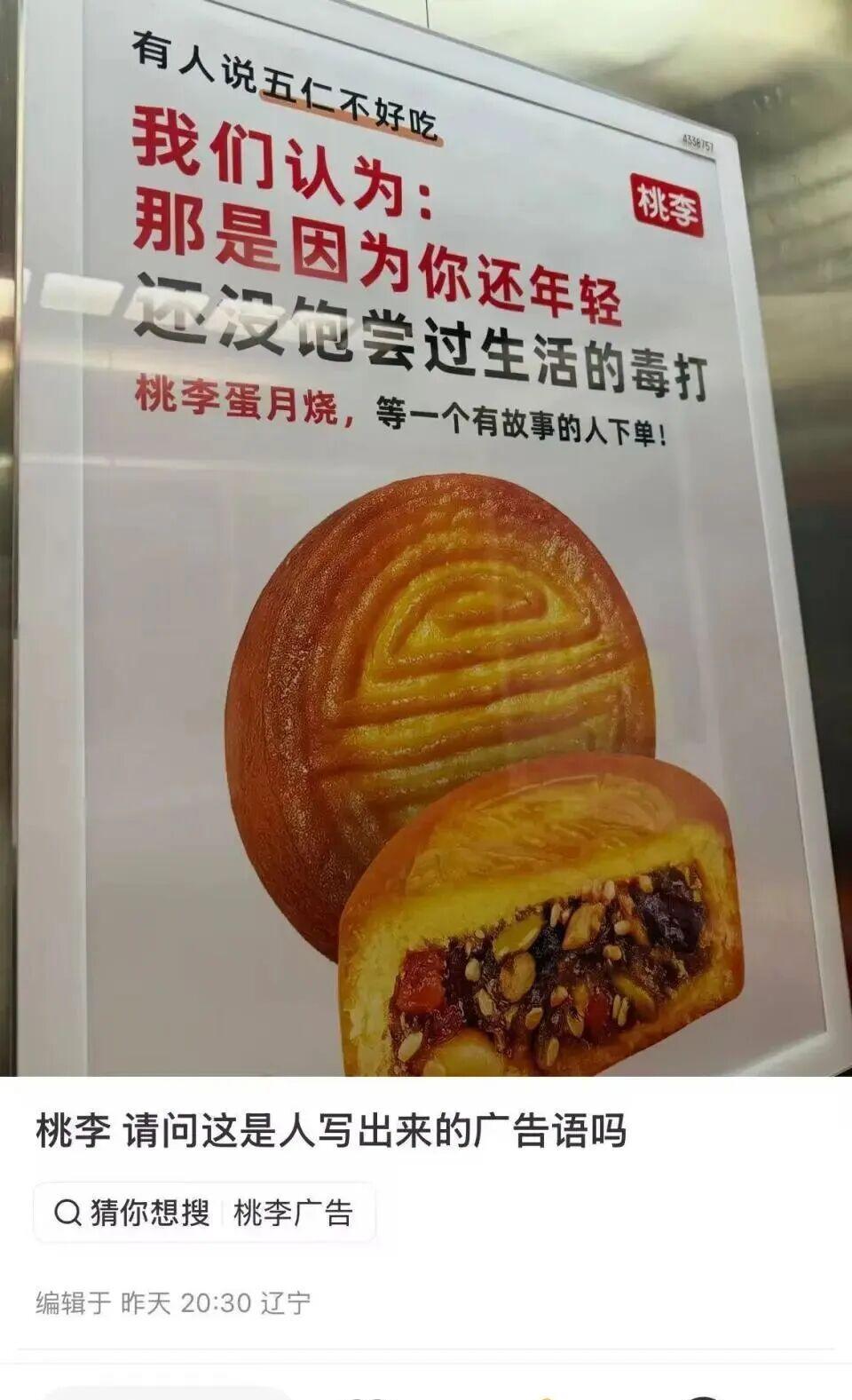 有人说，五仁不好吃，我们认为：那是因为你还年轻，还没饱尝过生活的毒打。桃李面