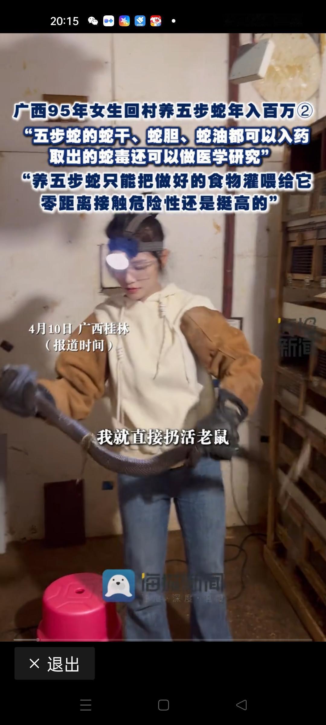 女生回村养五步蛇，年入百万！这听起来像是电影里的桥段，却真实发生在我们身边。很多