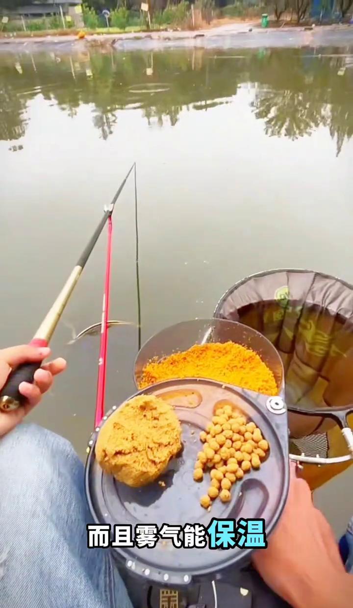 11月5号，雾蒙蒙的早晨，鱼比你还懂天气。气压低、温差大，人冷得缩脖子，鱼却悄
