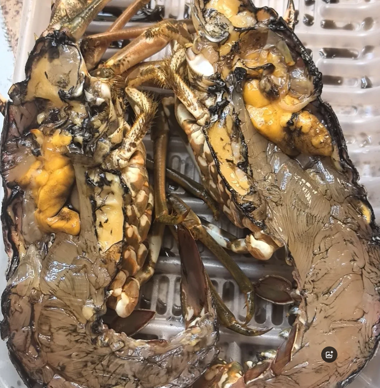黑成这样这虾还能吃吗？本来想吃大餐