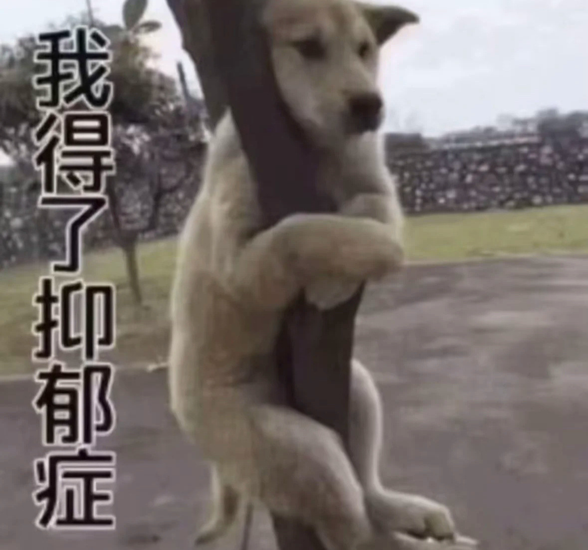 无语子