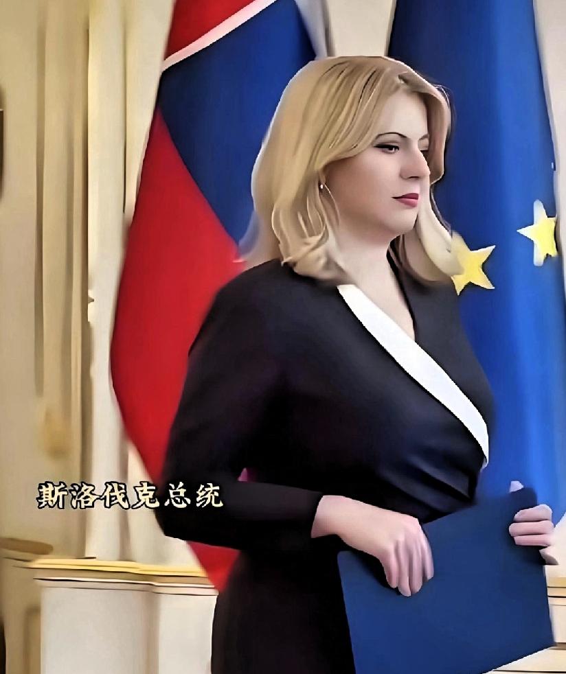 她应该是目前世界上最美的女总统了，这里说的美，不只是外表上的出众，更在于她由内而