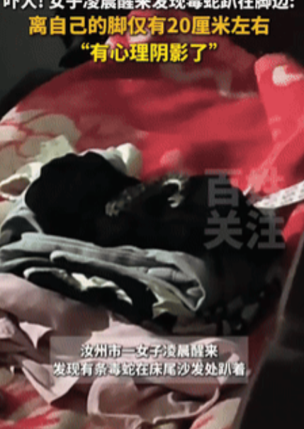 不幸中的万幸！”河南平顶山，一女子凌晨被父亲敲窗喊醒，起身下床时发现有条1米长的