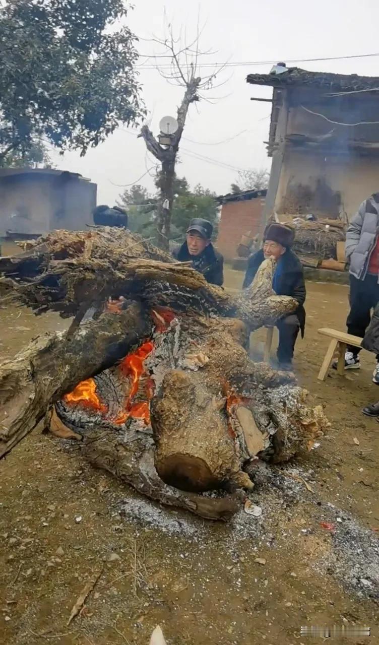 原来诈骗犯就在我身边。我妈接到诈骗短信长达四年，期间换了三次电话号码，但总能被