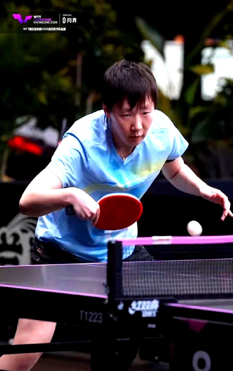 王曼昱在重庆冠军赛练球时，左臂绑的黑带子，比教练的临场判断准十倍。那是专业