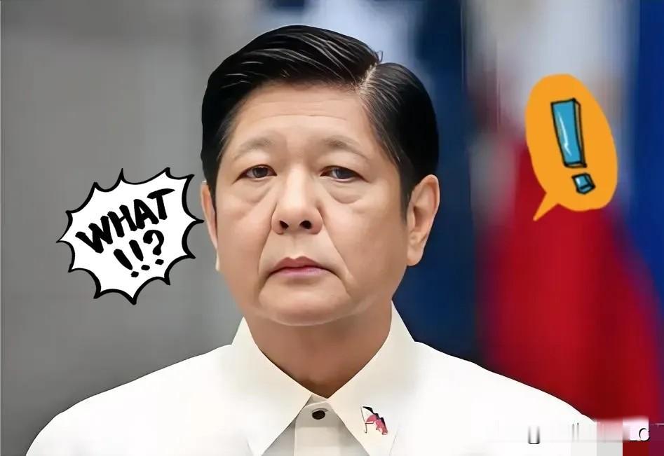 快报，快报菲律宾正式宣布国家减灾委和东方大国灾害应急管理学院发布的最新报告