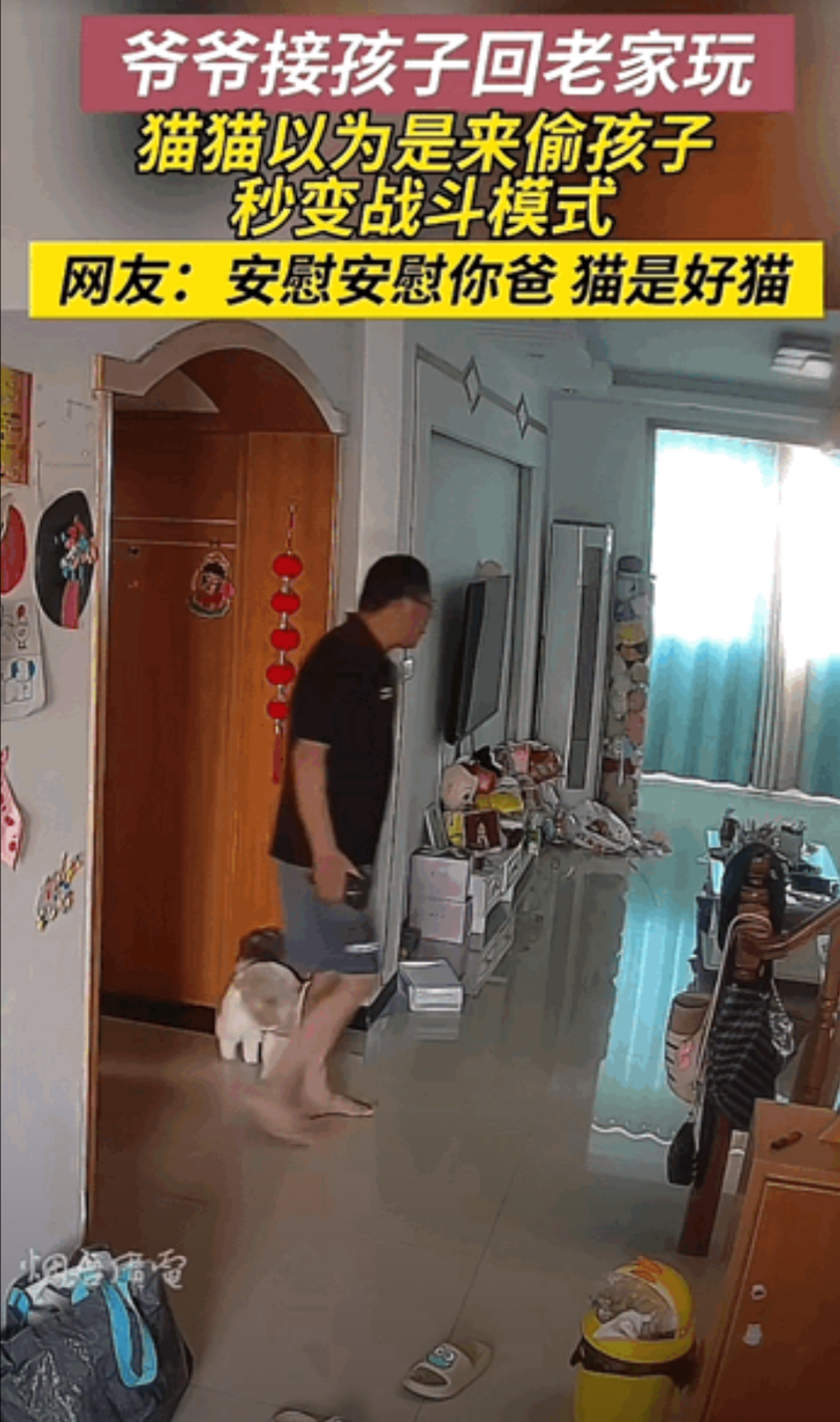 万物皆有灵性！安徽，放暑假了，妈妈让爷爷来把孩子接回老家，爷爷开门刚进屋，没想到