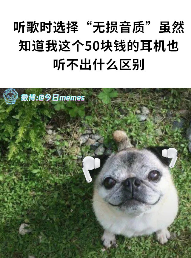 冰块冲厕所！（9gag）今日meme今日memes