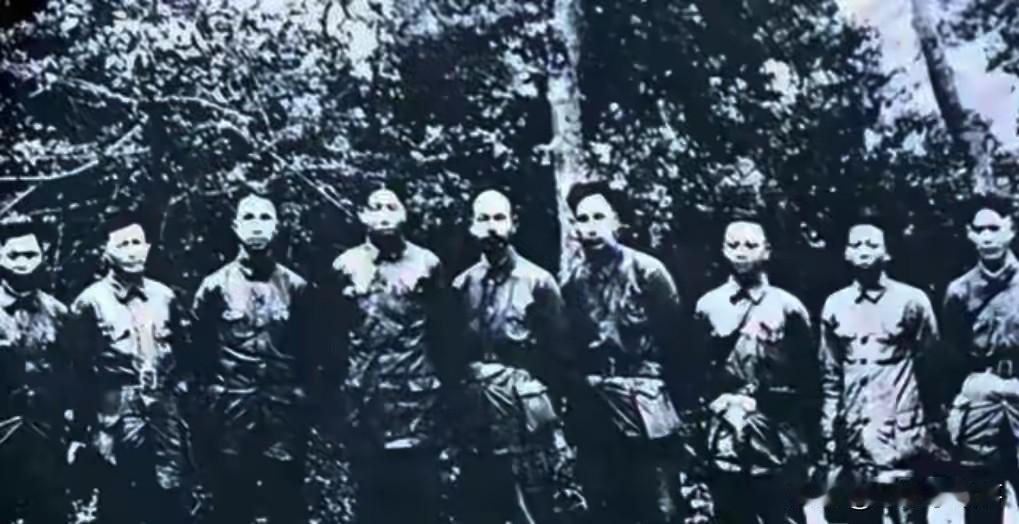 1949年，一群野人拦住解放军，领头乞丐拿出一张发黄的纸，首长看后当场泪崩：你们