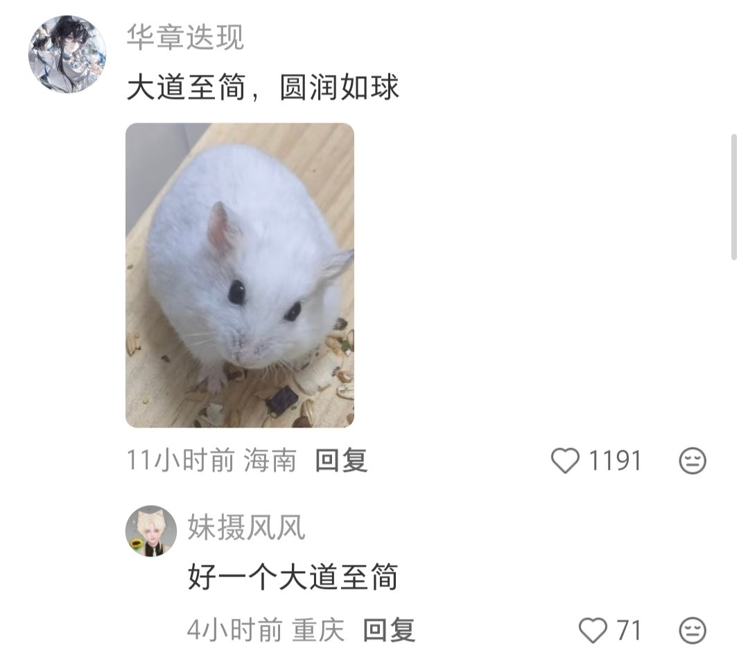 仓鼠的建模好粗糙。