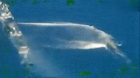 中方其实给菲律宾留足了时间，菲律宾不知珍惜，终究错过了。5月31日，菲律宾防