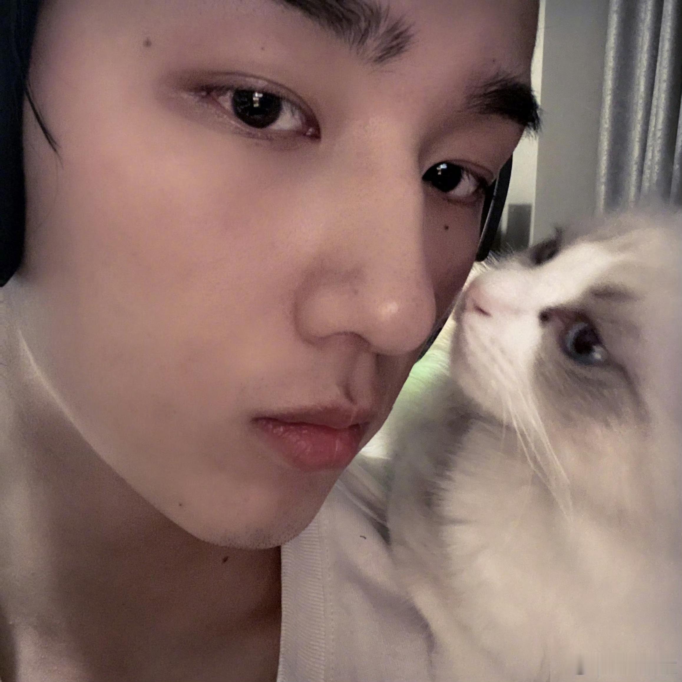 九月快乐九月是只猫​​​
