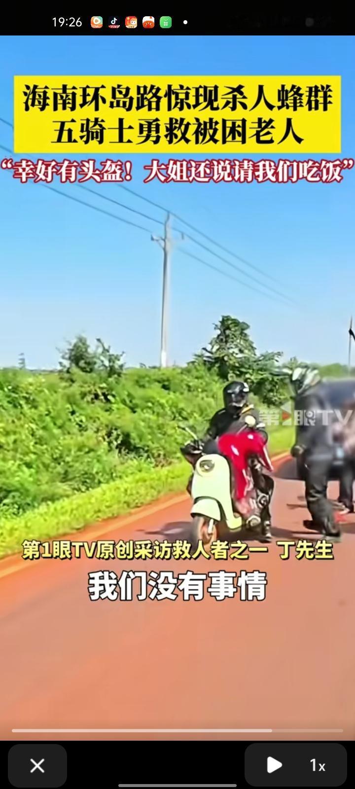 11月23日，海南省临高县。环岛路惊现杀人蜂群，摩友们看到电动车倒在地上，走近后