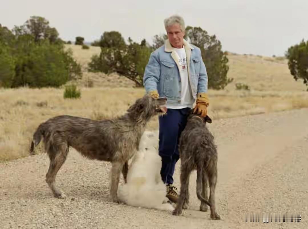 爱泼斯坦养的狗，看着一点都不好看，却感觉脏兮兮的，按道理说，他这么有钱的大富豪，