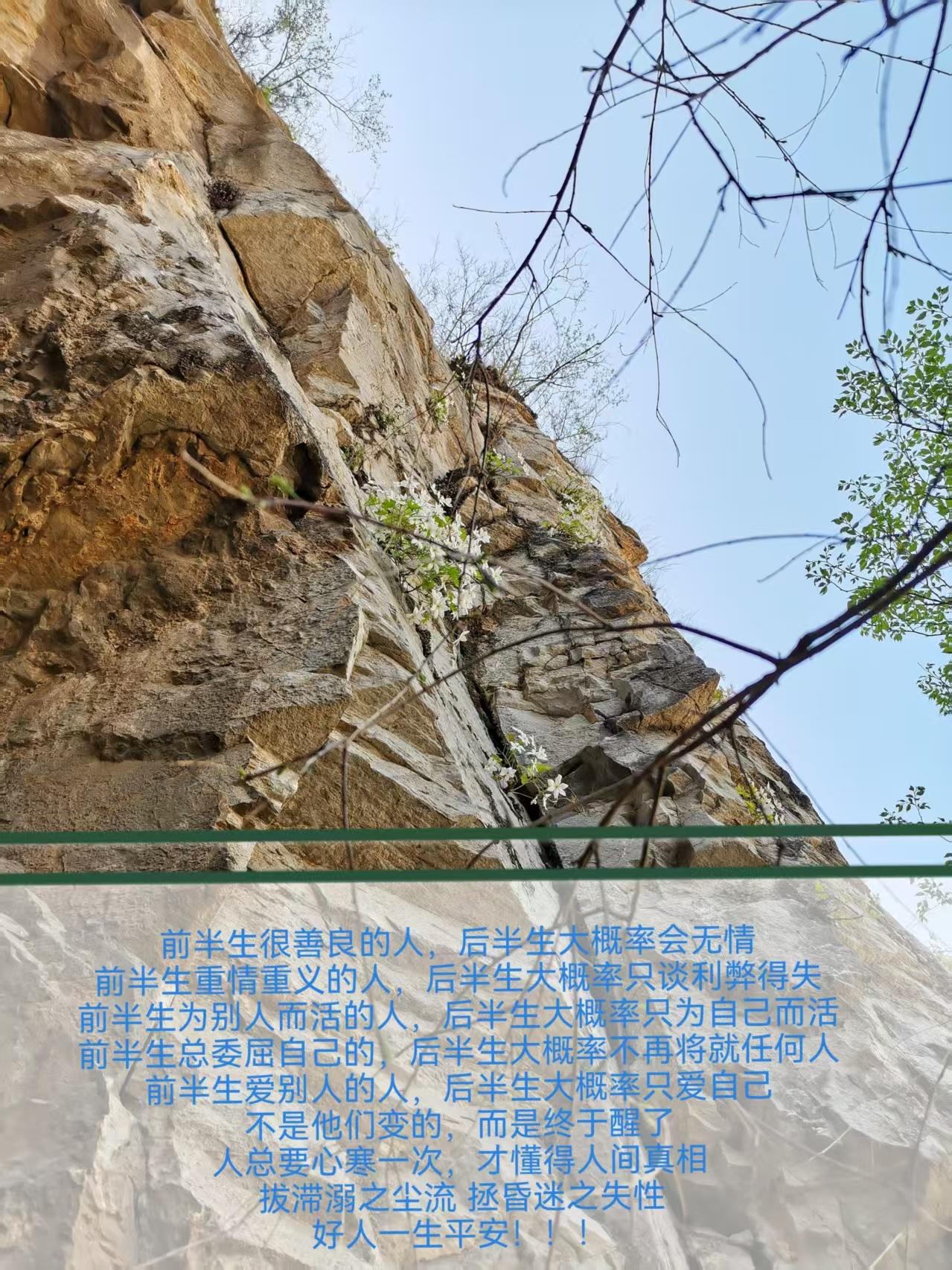 说得有道理，明白了，人生不过一场梦，都是假的，但是，不能走向反面，要学习这崖壁之