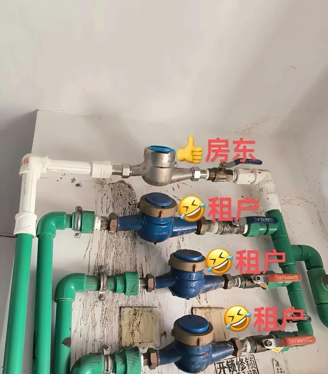 我想知道这个有啥区别吗？还区分这么明显？