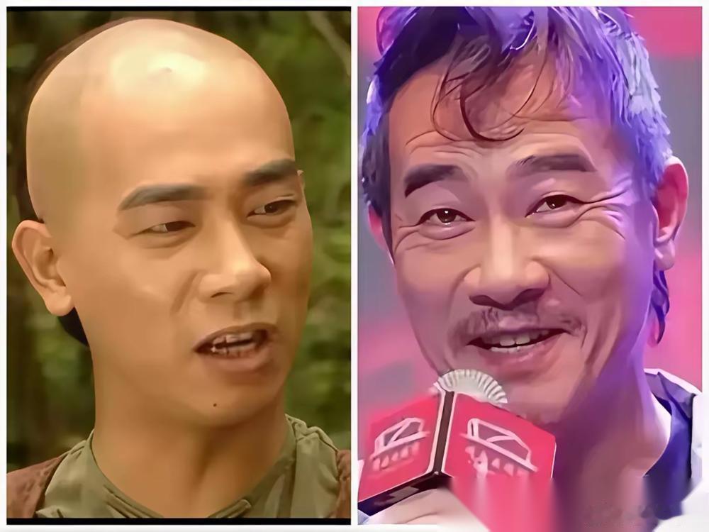 陈晓那张脸一出来，评论区直接炸了，双颊凹进去，颧骨支棱着，眼袋快掉到颧骨下面了。