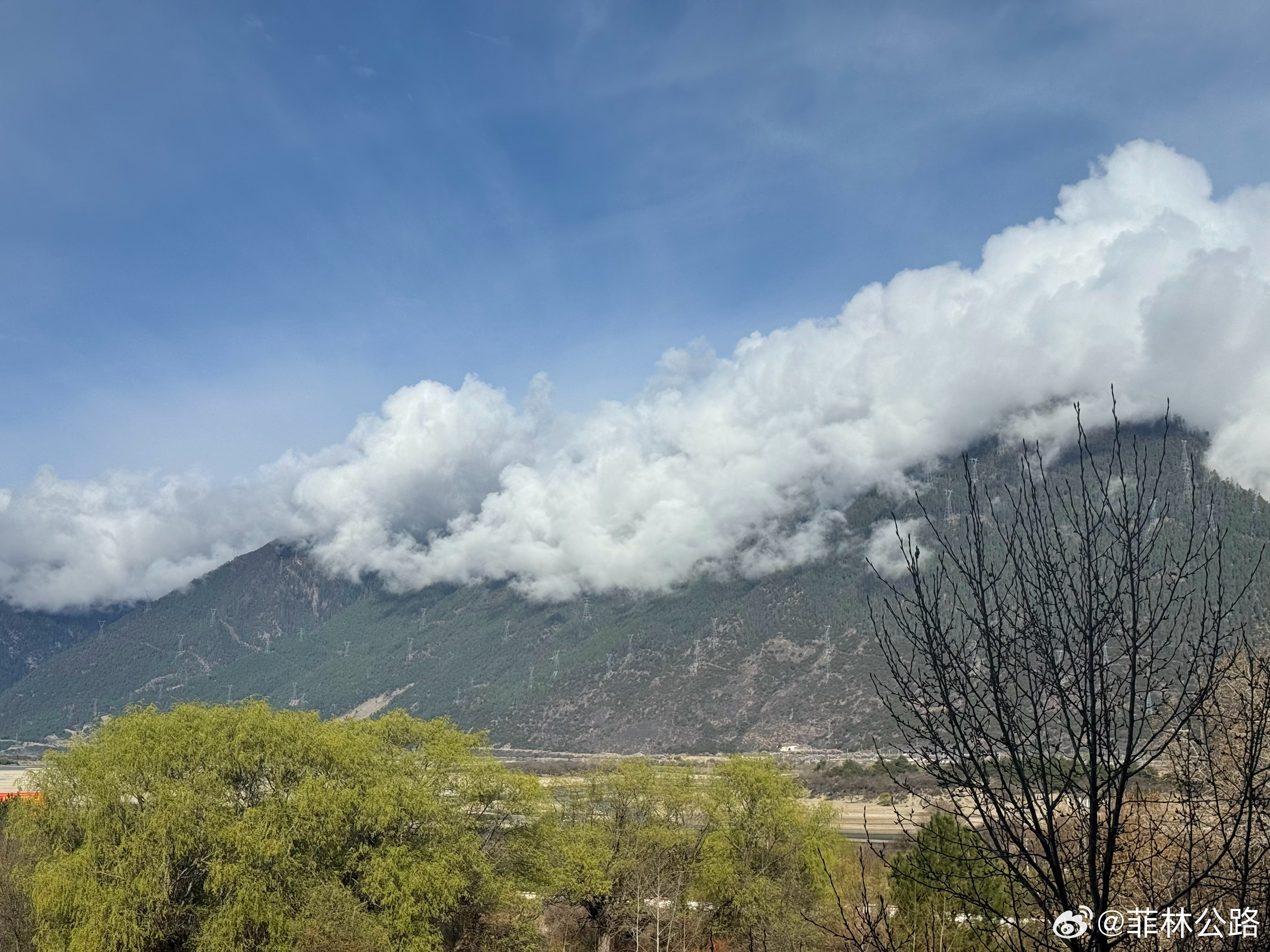 如果我在山上，应该能摸摸云吧林芝
