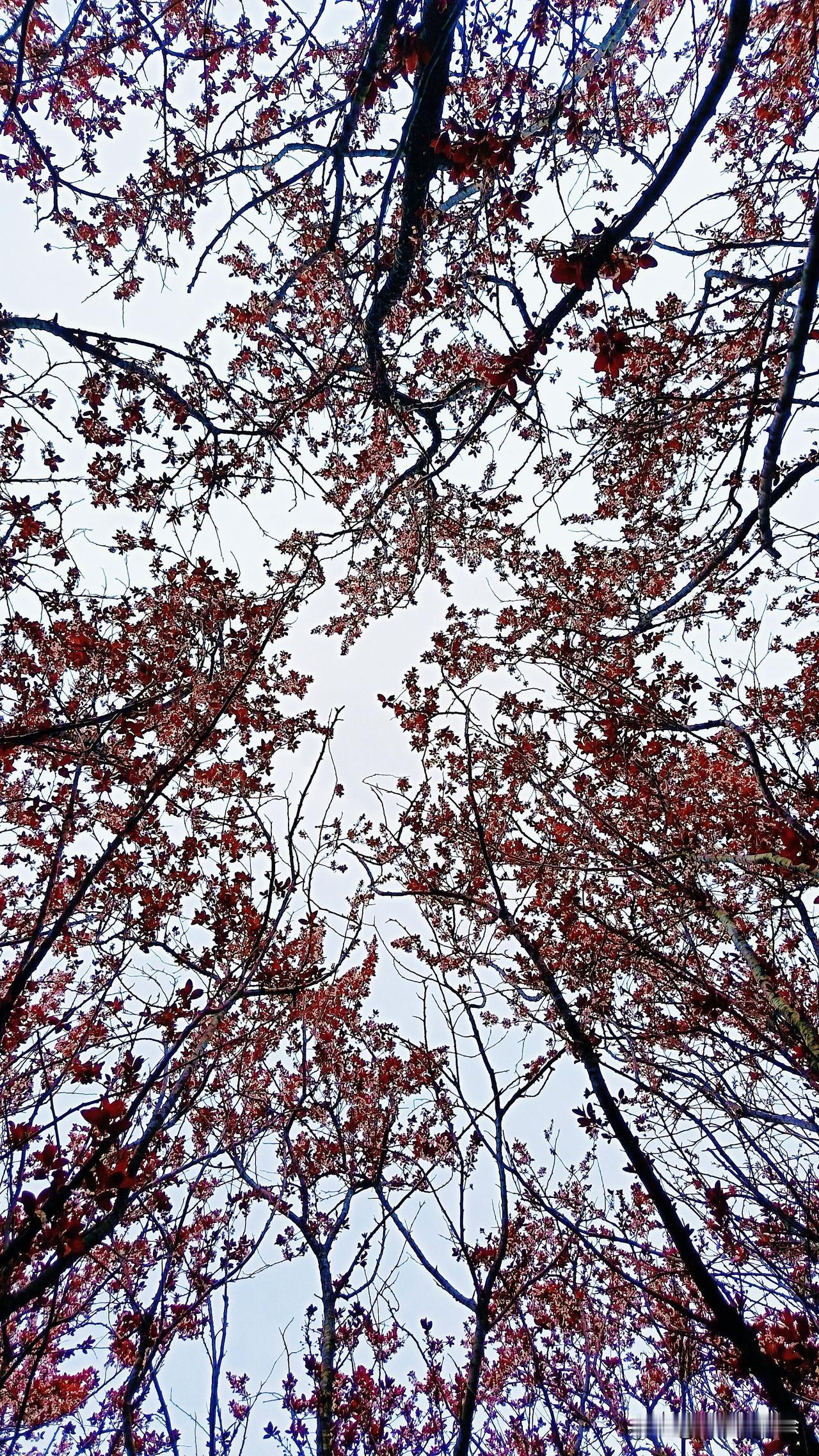 如何能够保持稳定的平衡态势中医人多看易，易告诉我们一个问题，唯一不想变化的平