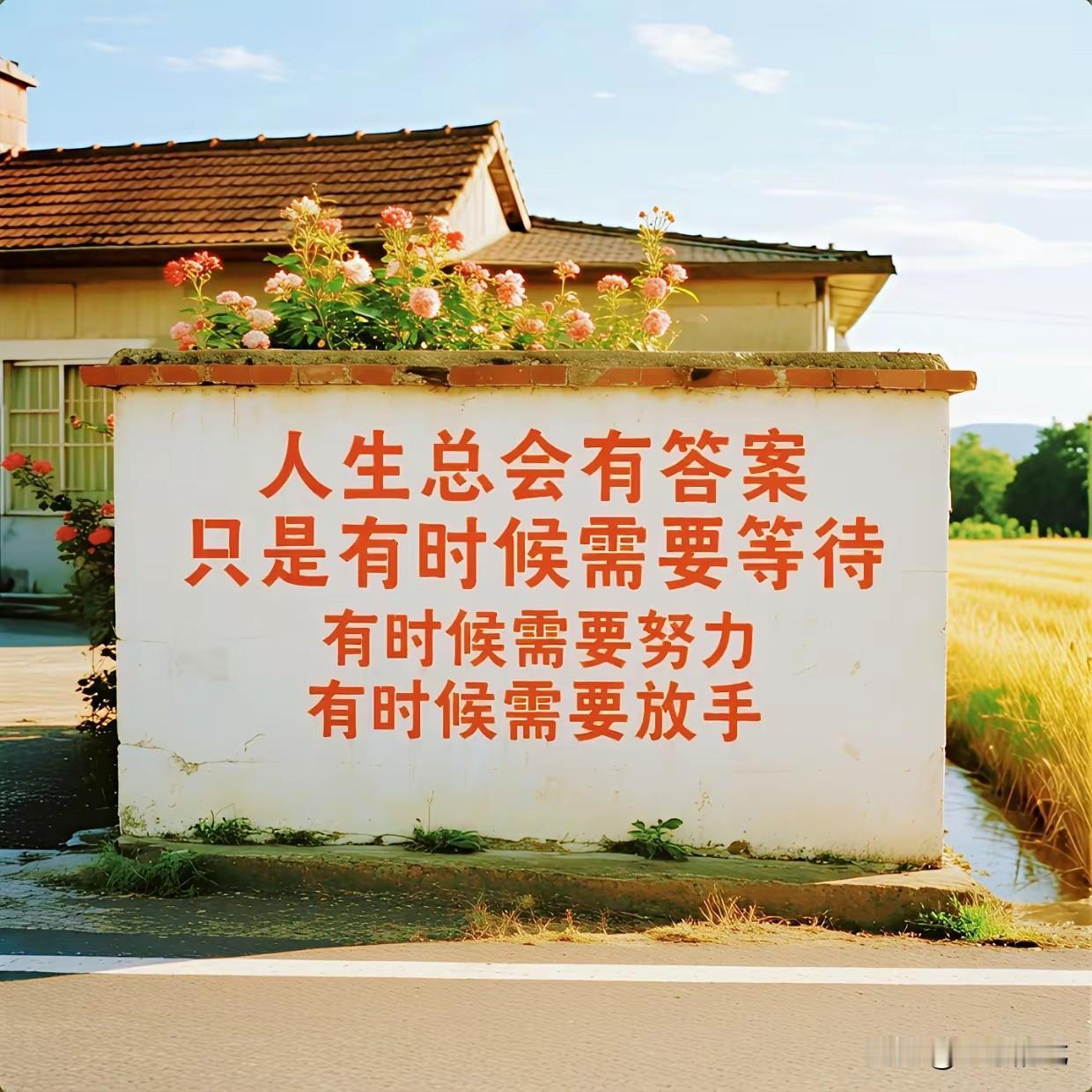 我原以为，“躺平”是我们社会日益内卷的产物，殊不知，竟然是资本主义对我国年轻人的