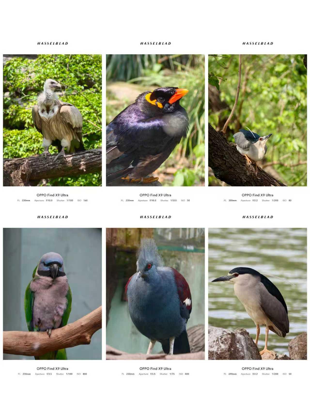 一台手机要用4年😭我决定开钉Ta了我是那种换手机超级纠结的人今年换机计划是