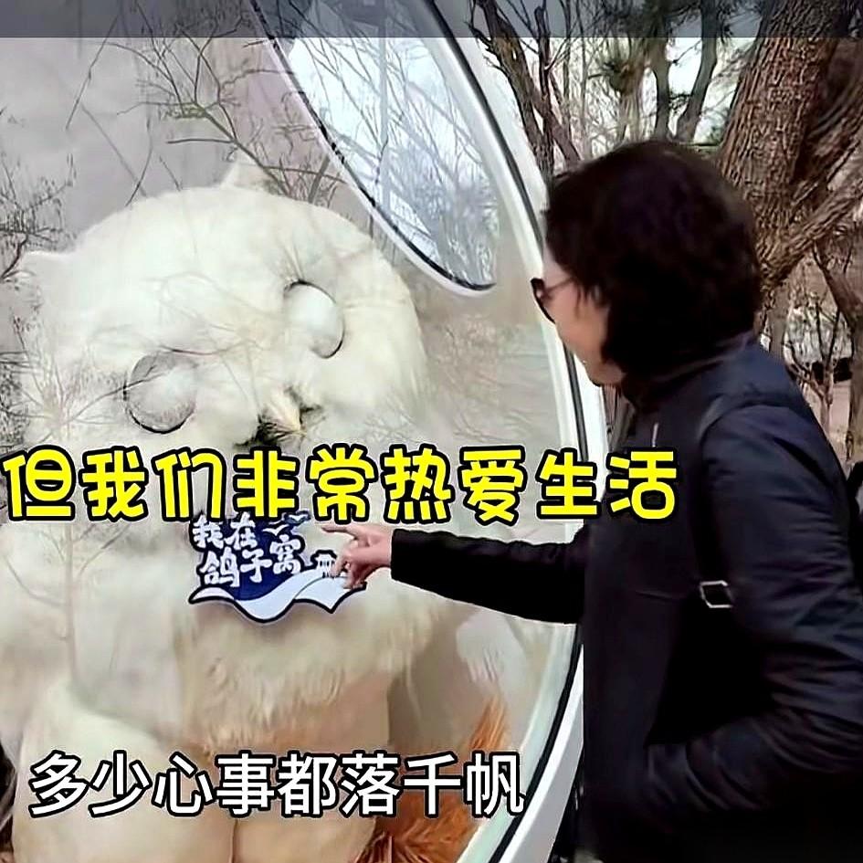 那个带老伴全中国转悠的“航海长”，这回在北戴河的镜头里变样了。粉丝们隔着屏幕叮