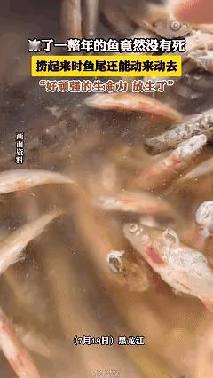 黑龙江，女子1年前买了些老头鱼，放冰柜搞忘了！今年突然想起，就想着拿出来，化冰后