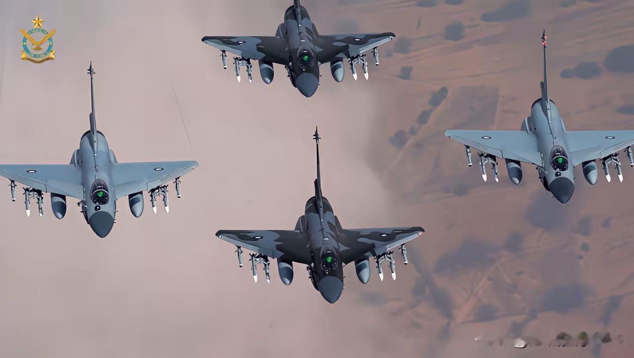 结论：纸面规模印度占优，实战与体系巴基斯坦更强；南亚空军“王者”是巴基斯坦。