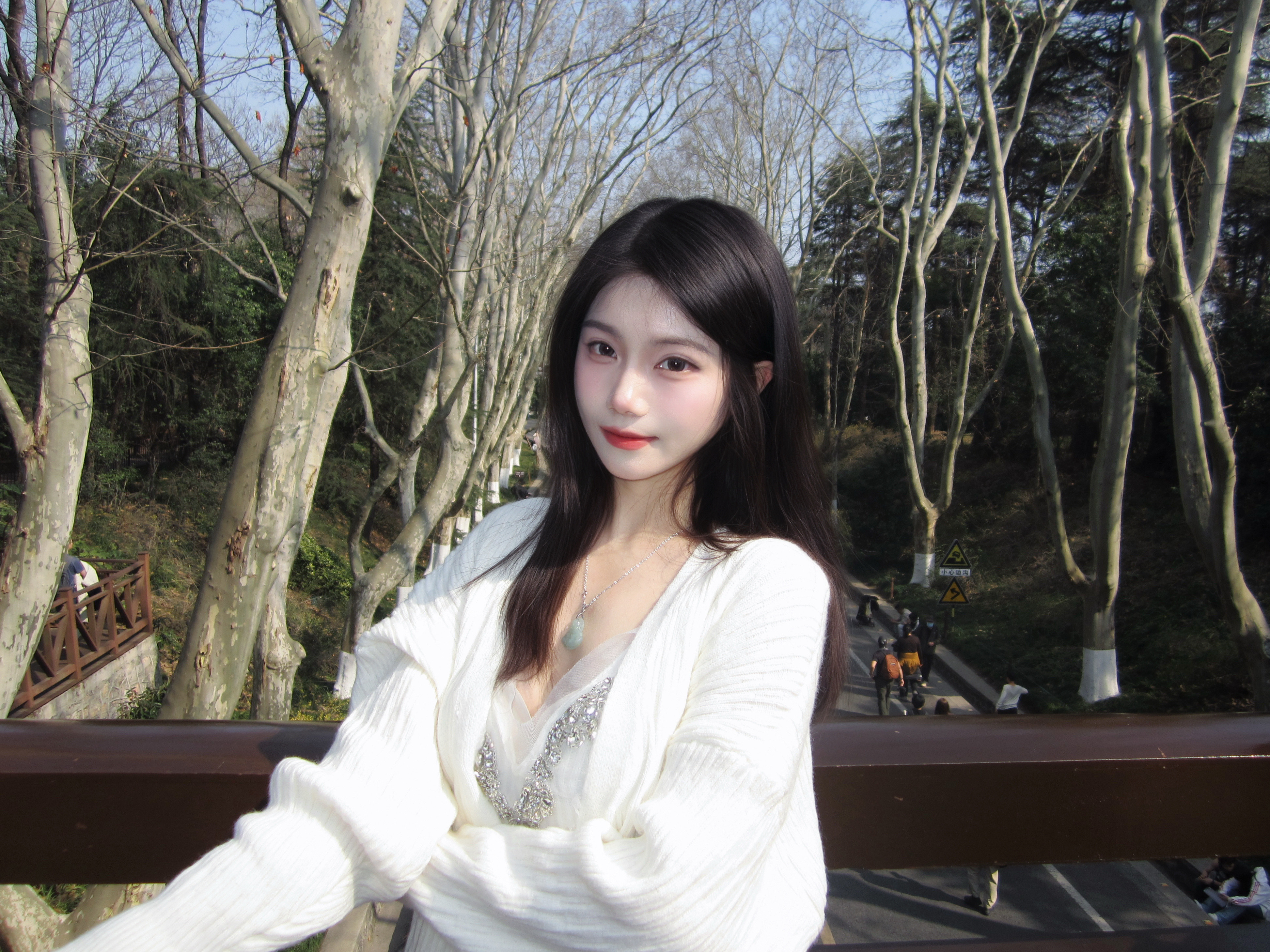 🍃🕊🪾⸝⸝>ヮ<⸝⸝。⋆美龄小姐喜欢梧桐树那我就种满整个南京