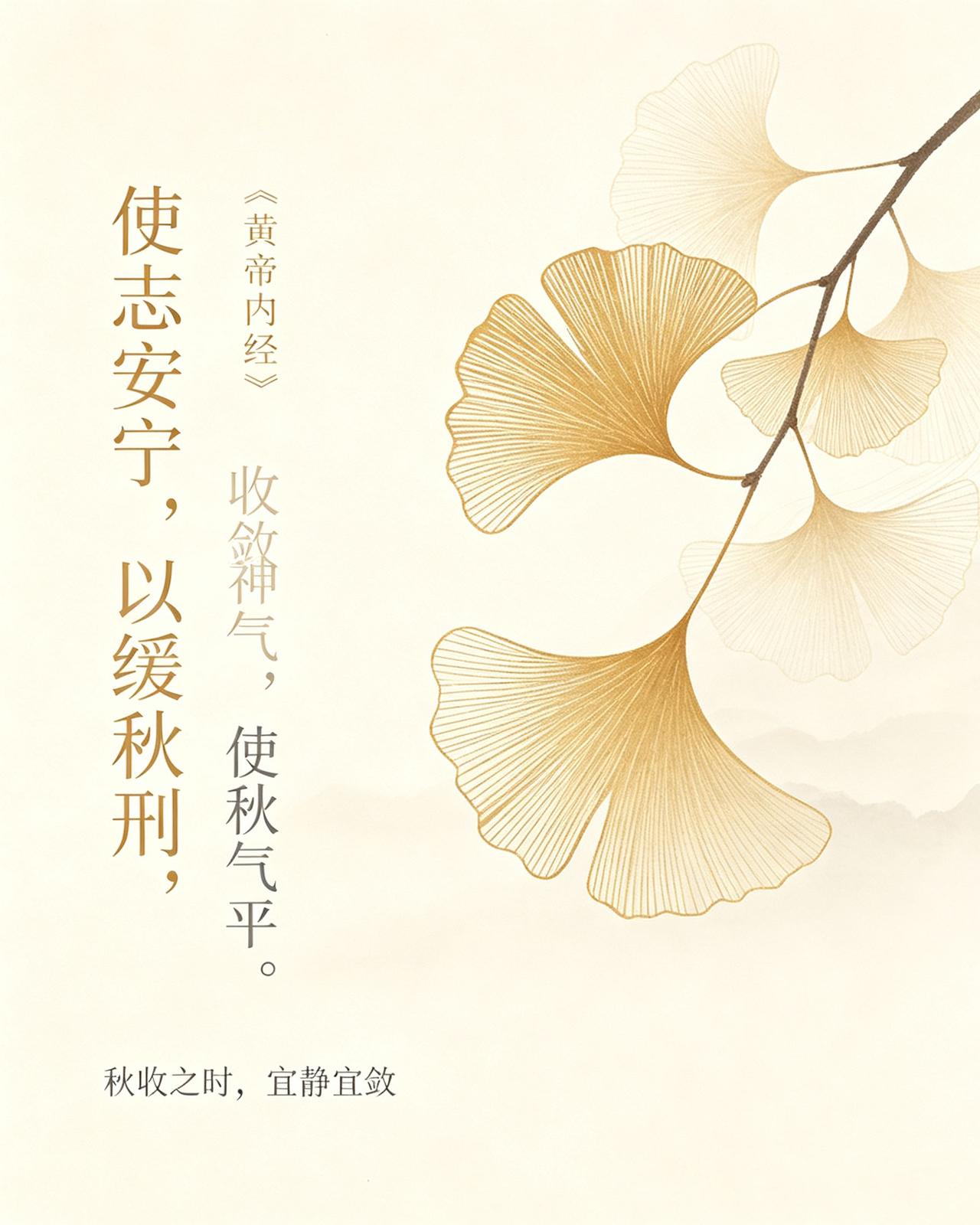 人到中年，最大的养生智慧就一个字：收。年轻时觉得养生就是"加"——加营养、加
