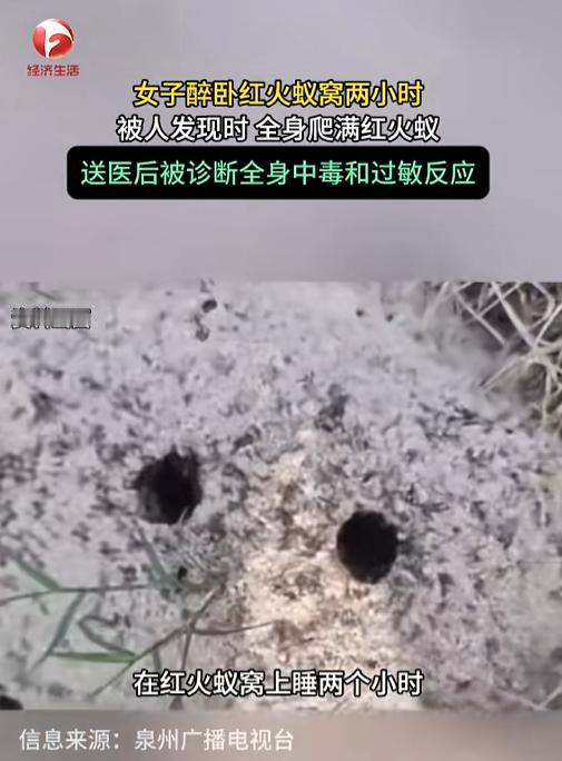 “醉酒女子被红火蚁捡尸！”7月15日报道，福建泉州，一女子喝醉了酒，直接醉倒在了