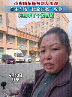 别跟牲畜计较！女子骑电动车上班，途中遇到一只小狗，二者仅仅对视几眼，女子便继续前