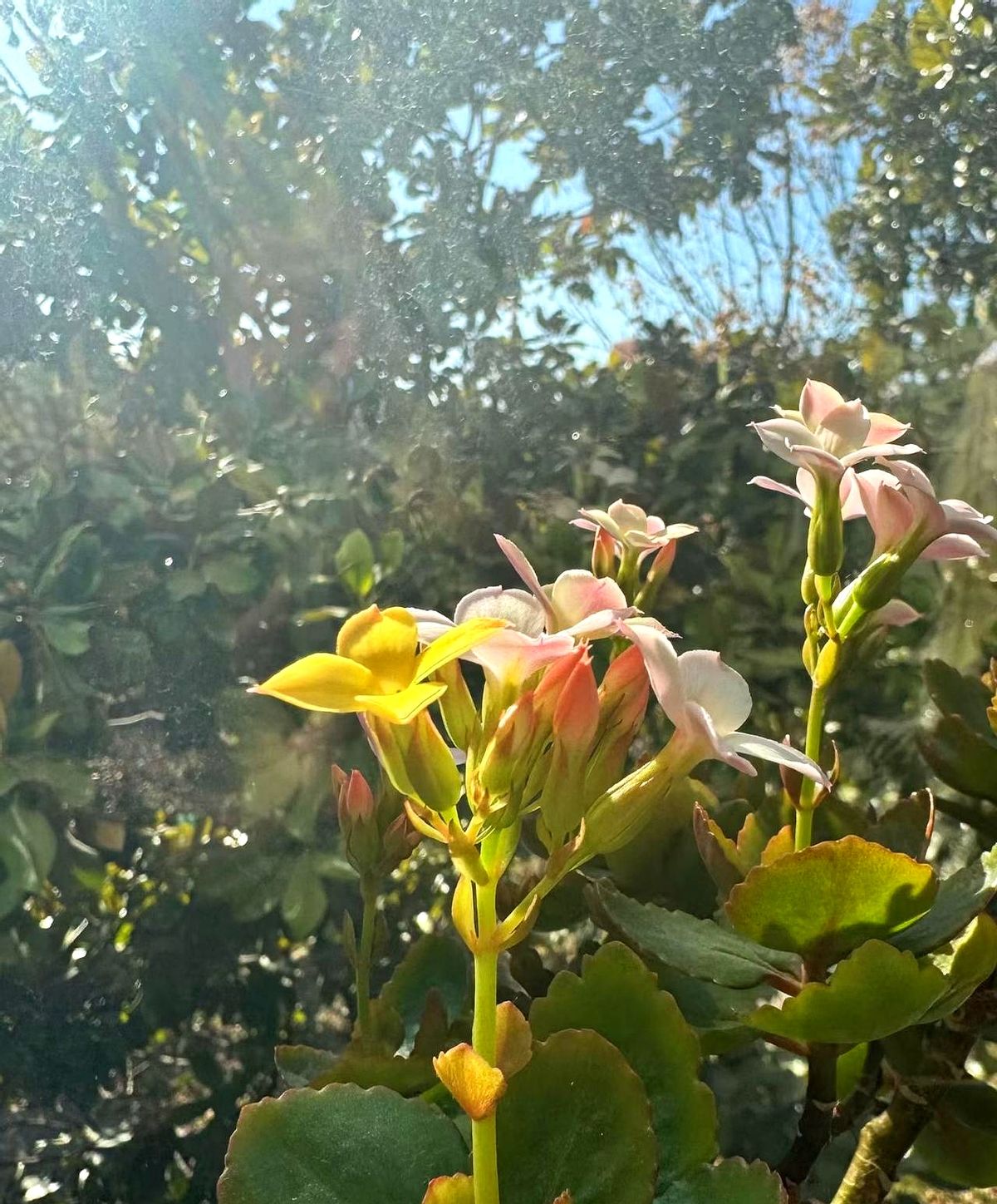 论坛里一位中年丈夫不无惊讶地晒出自家“神奇体质”，原帖写得很直白：他四...