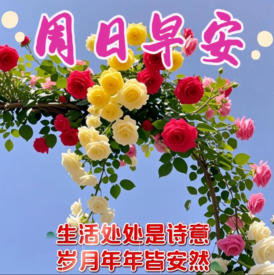 联系着📱，问候着🤗，就是缘分✨；牵挂着❤️，想念着❤️，就是情分；健康着💪