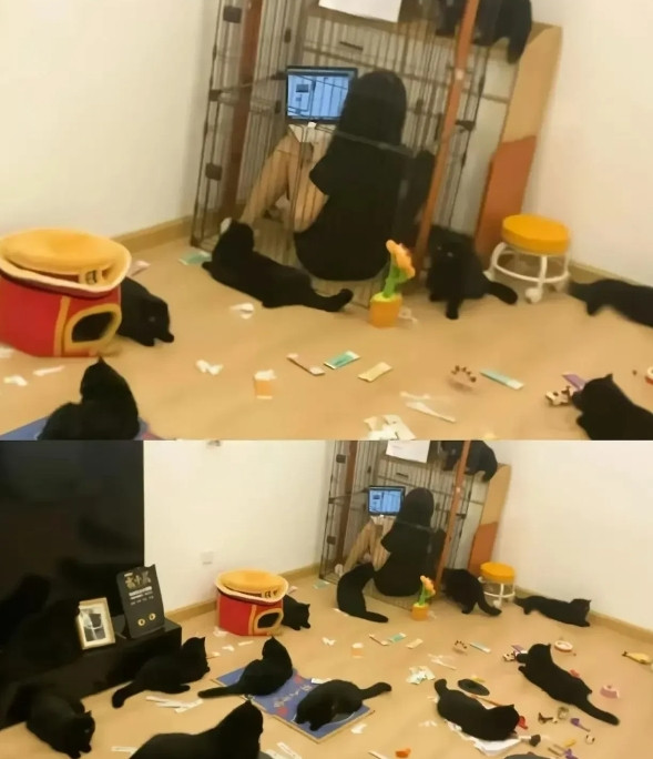 爱养宠物的一幕，不得不说，惊呆了啊。[赞][赞][赞][赞]