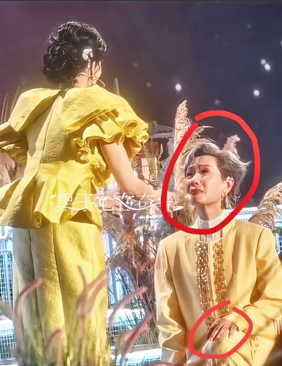 我怀疑过叶童加入浪姐是为了名气　　也怀疑过叶童参加《新白娘子传奇》是为炒冷饭