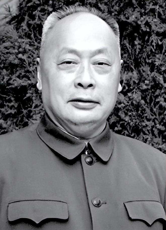 1963年，陈毅在成都街头散步，一个扎羊角辫的小丫头突然拦住他，仰头就问：你是大